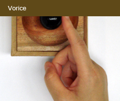 Vorice
