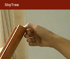 ShyTree